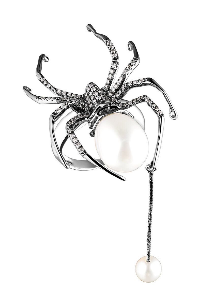 Jacob and shop co spider