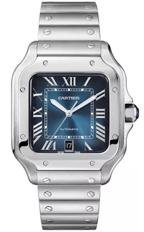 Часы Cartier Santos de WSSA0030 (41961)