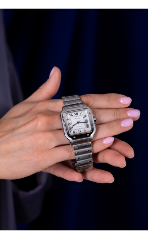 Часы Cartier Santos Medium Size WSSA0029 (36668) №3