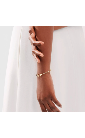 Браслет Tiffany & Co T Wire Yellow Gold 60010760 (37670) №3