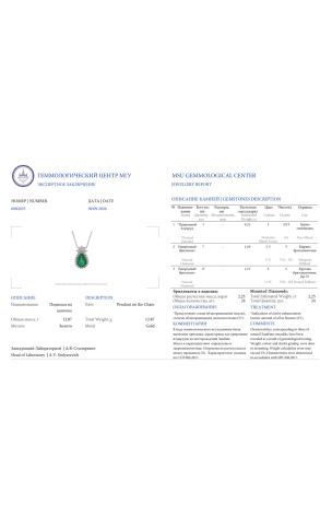 Подвеска  с изумрудом 9,25 ct Moderate Bluish Green/SI1 и 2,25 ct бриллиантами (43554) №3