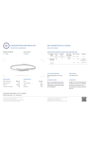 Браслет RalfDiamonds White Gold Diamonds 3,90 ct Bracelet (35824) №2