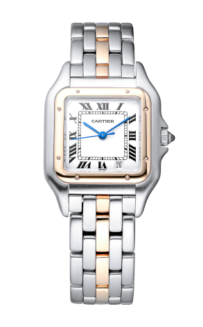 Часы Cartier Panthère 27mm 1100 (36847)