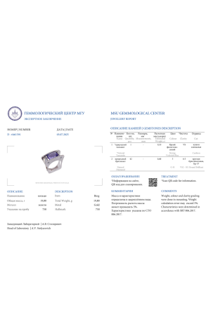 Кольцо Scavia Jewels 9,10 ct Strong Violetish Blue Natural Tanzanite & White Gold (40858) №3