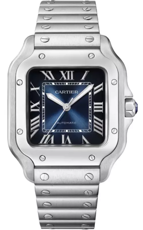 Часы Cartier Santos de WSSA0063 (42856)