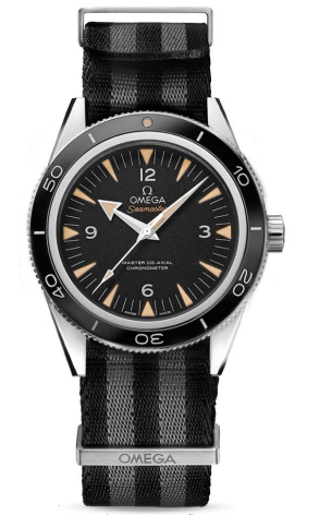 Часы Omega Seamaster Master Co-Axial 233.32.41.21.01.002 (40855)