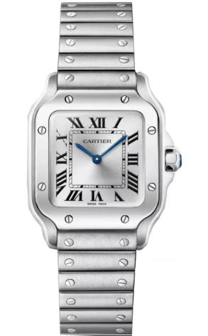 Часы Cartier Santos de WSSA0082 (41610)