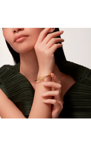 Браслет Cartier Juste un Clou Small Model Yellow Gold (SIZE 17) B6062617 (43275) №3