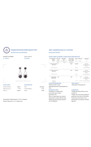 Серьги  18,6 ct Black Diamonds & 2.90 ct G/VS2 Round Diamonds (37797) №2