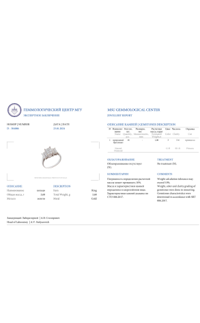 Кольцо RalfDiamonds 1,00 ct Pave Diamonds Princess Cut RDR (37694) №2