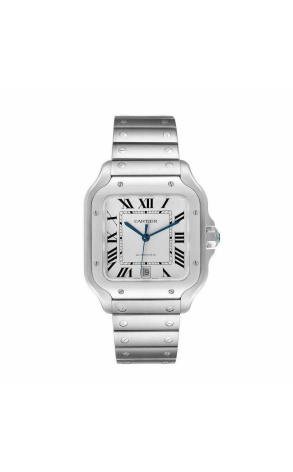 Часы Cartier Santos WSSA0018  4702 (37613)