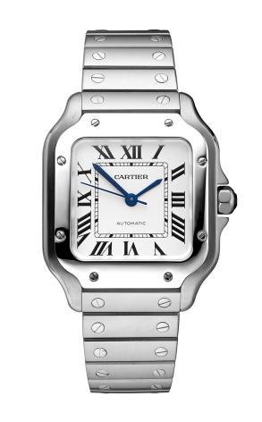 Часы Cartier Santos Medium Size WSSA0029 (36668)
