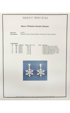 Серьги Harry Winston Diamond de Neige Earrings 129532 (14325) №2