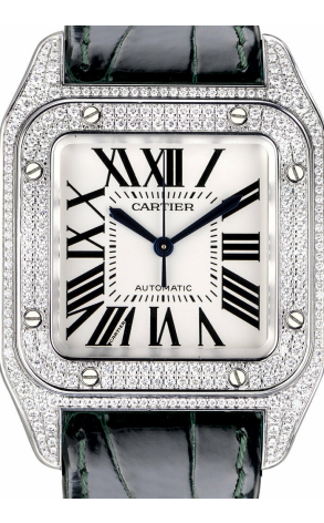 Часы Cartier Santos 100 2881 (14591) №2