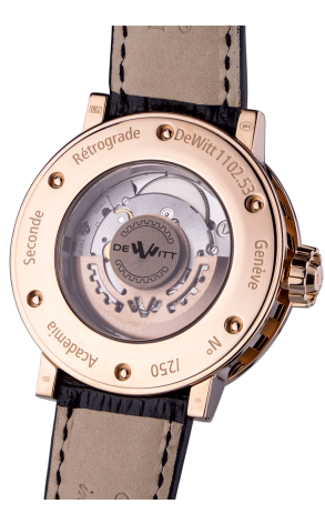 Часы De Witt Dewitt Academia Seconde Retrograde AC.1102.53.M040 (15346) №3