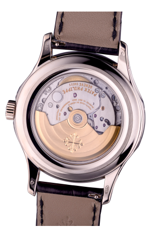 Часы Patek Philippe Annual Calendar 5205G-001 (20312) №3