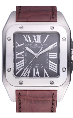 Часы Cartier Santos 100 XL 2656 (20447) №2