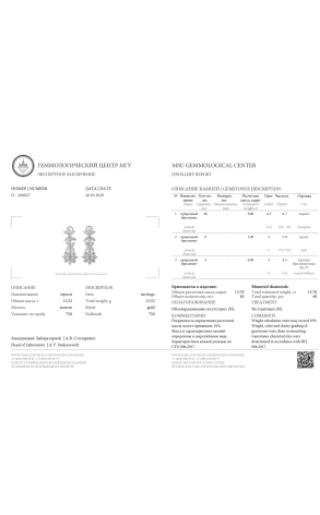 Серьги RalfDiamonds White Gold Diamonds 13,78 ct Earrings (23805) №8