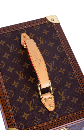 Сумка Louis Vuitton Boite Flacons Beauty Case (24976) №11