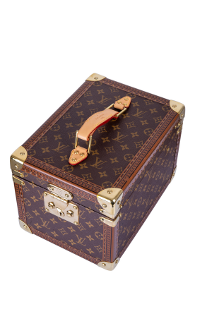 Сумка Louis Vuitton Boite Flacons Beauty Case (24976) №12