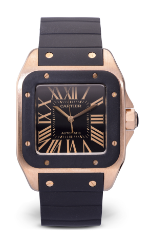 Часы Cartier Santos 100 XL W20124U2  2792 (29383)