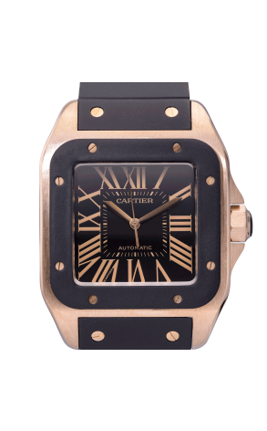 Часы Cartier Santos 100 XL W20124U2  2792 (29383) №2