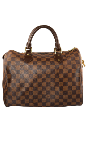 Сумка Louis Vuitton Speedy 25 (33446) №3