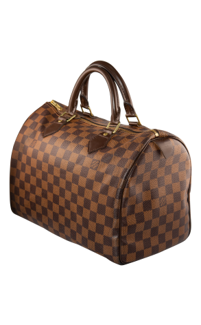 Сумка Louis Vuitton Speedy 25 (33446)