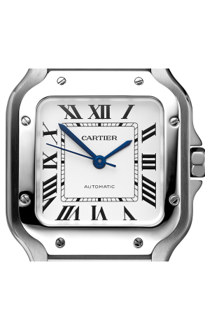 Часы Cartier Santos Medium Size WSSA0029 (36668) №2