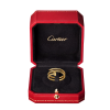 Кольцо Cartier Juste un Clou Double Yellow Gold & Diamonds (SIZE 50) CRB4211850 (42004) №5
