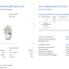 Брошь UTOPIA Pavone White Gold Diamonds & Pearl PVS3BNSS (37640) №5