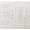 Кольцо Tiffany & Co 0,35 ct H/VVS2 Oval Cut Diamond Platinum (39179) №4