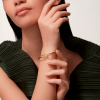 Браслет Cartier Juste un Clou Small Model Yellow Gold (SIZE 17) B6062617 (43275) №6