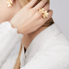 Серьги Van Cleef & Arpels Frivole Small Model Yellow Gold VCARB65700 (38014) №4