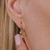 Серьги  Fancy Yellow/Si2 - Light Yellow/SI1 Heart Brilliant (36435) №9