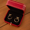 Серьги Cartier Vintage Tricolor Gold Bumble Bee Hoop Earrings (24281) №6