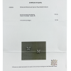 Серьги GRAFF White Gold Diamond Pave Butterfly GE (36909) №6