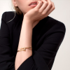 Браслет Cartier Juste un Clou classic yellow gold (SIZE 16) CRB6048216 (37573) №10