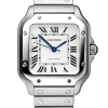 Часы Cartier Santos Medium Size WSSA0029 (36668) №7