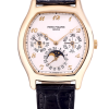 Часы Patek Philippe Grand Complications 5040 5040J (11778) №3
