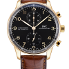 Часы IWC Watch Portuguese Chronograph IW371415 (14240) №3