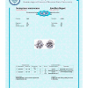Пусеты  с бриллиантами 1,52 F/VS1 — 1,53 F/VVS2 МГУ (21139) №4