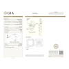 Серьги Giancarlo Gioielli 1,50/1,51 ct FLY Gold Diamond Earrings (21105) №7