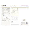 Серьги Giancarlo Gioielli 1,50/1,51 ct FLY Gold Diamond Earrings (21105) №6