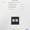 Серьги GRAFF Pearshape and Round White Diamond Flower Earrings 4.40 ct GE 17230 (23290) №4
