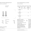 Серьги RalfDiamonds White Gold Diamonds 13,78 ct Earrings (23805) №16