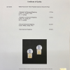 Серьги GRAFF White Round and Yellow Radiant Diamond Drop 2.50 ct Earrings GE (28860) №10