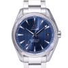 Часы Omega Seamaster Aqua Terra 231.10.42.21.03.003 (30392) №5