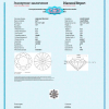 Подвеска  с бриллиантом 1,09 ct F/VS1 МГУ (31199) №4