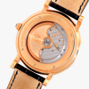 Часы Parmigiani Fleurier Toric Perpetual PF002622 (5646) №6